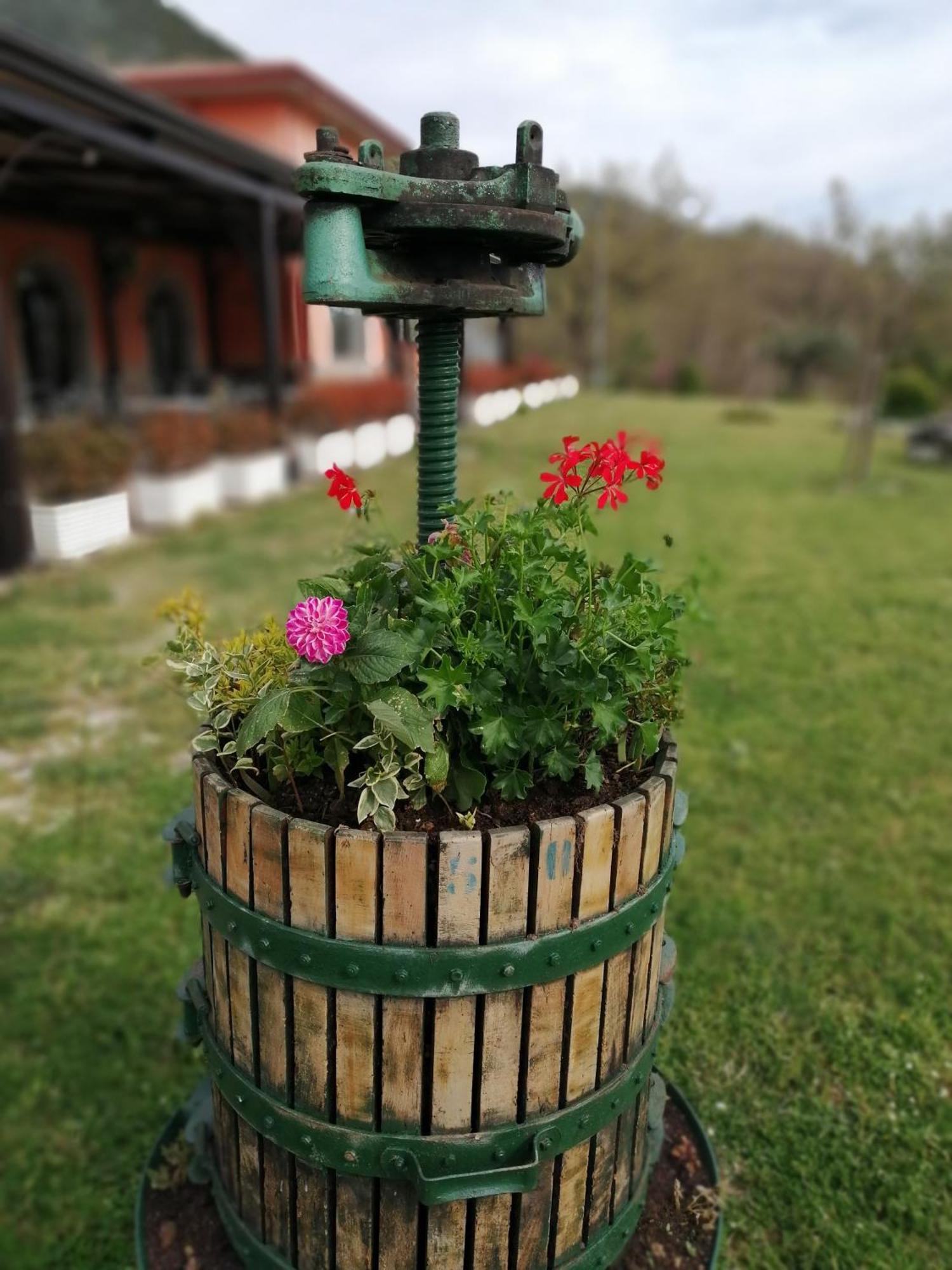 Salisu Country House Mignano Monte Lungo Luaran gambar
